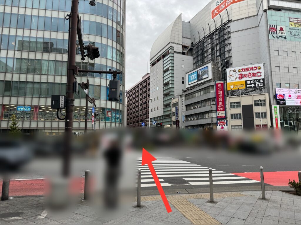 新宿大ガード交差点からウエルシア(薬局)方面に横断歩道を渡る。